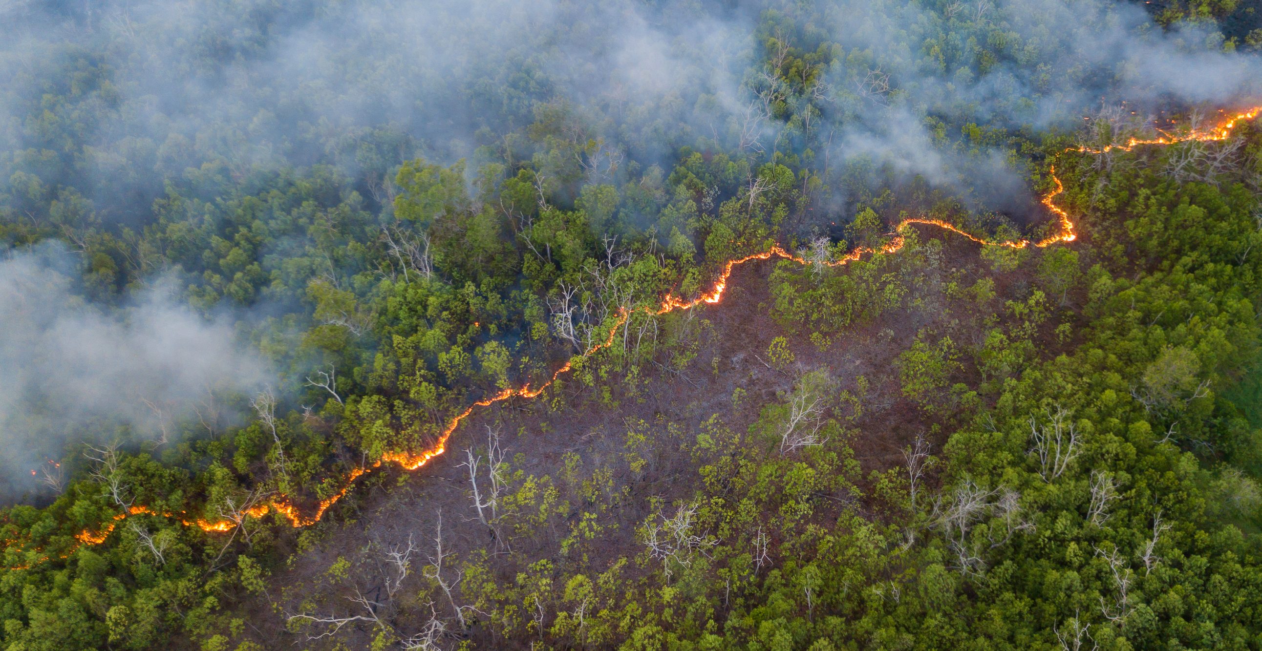 How to Assess Bushfire Attack Level Ratings in NSW l Better Built Homes
